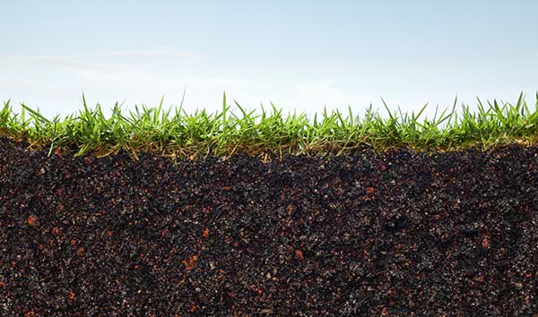 Healthy Soil: the Organic Treatment Plant